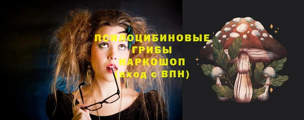 прущие грибы Володарск