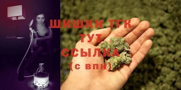 стафф Верхний Тагил