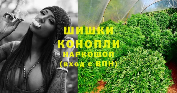стафф Верхний Тагил