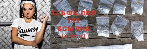 стафф Верхний Тагил