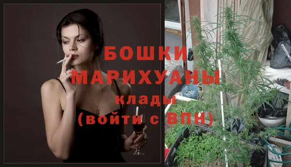 дурь Волосово