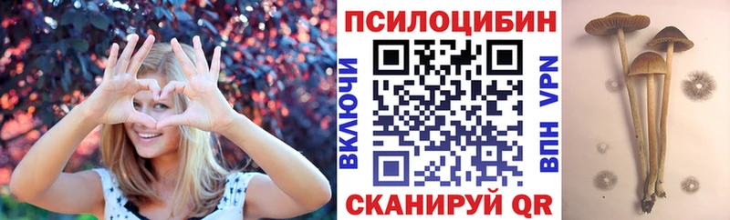 Купить  Струнино  Галлюциногенные грибы мухоморы 